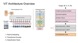 ViT.pptx