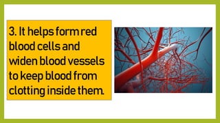 3. It helps form red
blood cells and
widen blood vessels
to keep blood from
clotting inside them.
 