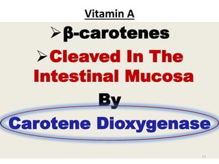 Vitamin A
β-carotenes
Cleaved In The
Intestinal Mucosa
By
Carotene Dioxygenase
17
 