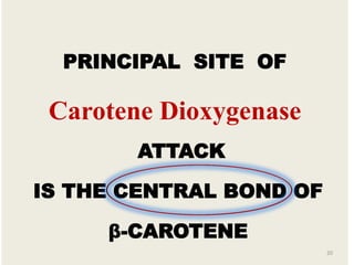 PRINCIPAL SITE OF
Carotene Dioxygenase
ATTACK
IS THE CENTRAL BOND OF
β-CAROTENE
20
 