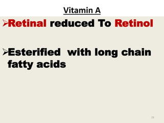 Vitamin A
Retinal reduced To Retinol
Esterified with long chain
fatty acids
23
 
