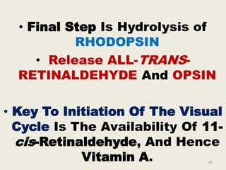 • Final Step Is Hydrolysis of
RHODOPSIN
• Release ALL-TRANS-
RETINALDEHYDE And OPSIN
• Key To Initiation Of The Visual
Cycle Is The Availability Of 11-
cis-Retinaldehyde, And Hence
Vitamin A. 66
 