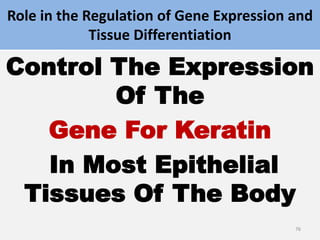 Role in the Regulation of Gene Expression and
Tissue Differentiation
Control The Expression
Of The
Gene For Keratin
In Most Epithelial
Tissues Of The Body
76
 