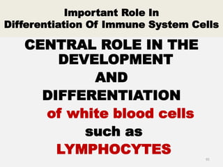 Important Role In
Differentiation Of Immune System Cells
CENTRAL ROLE IN THE
DEVELOPMENT
AND
DIFFERENTIATION
of white blood cells
such as
LYMPHOCYTES 91
 
