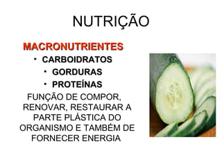 NUTRIÇÃO MACRONUTRIENTES CARBOIDRATOS GORDURAS PROTEÍNAS FUNÇÃO DE COMPOR, RENOVAR, RESTAURAR A PARTE PLÁSTICA DO ORGANISMO E TAMBÉM DE FORNECER ENERGIA  