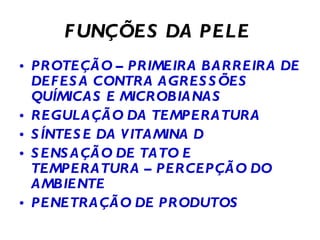FUNÇÕES DA PELE   PROTEÇÃO – PRIMEIRA BARREIRA DE DEFESA CONTRA AGRESSÕES QUÍMICAS E MICROBIANAS REGULAÇÃO DA TEMPERATURA SÍNTESE DA VITAMINA D SENSAÇÃO DE TATO E TEMPERATURA – PERCEPÇÃO DO AMBIENTE PENETRAÇÃO DE PRODUTOS 