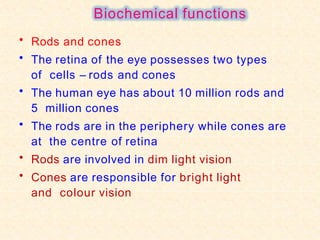 Biochemical functions
• Rods and cones
• The retina of the eye possesses two types
of cells – rods and cones
• The human eye has about 10 million rods and
5 million cones
• The rods are in the periphery while cones are
at the centre of retina
• Rods are involved in dim light vision
• Cones are responsible for bright light
and colour vision
 