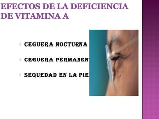 

Ceguera noCturna



Ceguera permanente



sequeDaD en La pieL

 