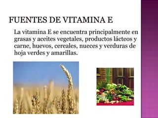 La vitamina E se encuentra principalmente en
grasas y aceites vegetales, productos lácteos y
carne, huevos, cereales, nueces y verduras de
hoja verdes y amarillas.

 