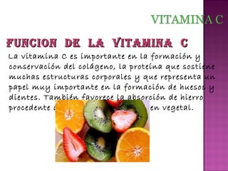 FuNcioN de lA vitAMiNA c
La vitamina C es importante en la formación y
conservación del colágeno, la proteína que sostiene
muchas estructuras corporales y que representa un
papel muy importante en la formación de huesos y
dientes. También favorece la absorción de hierro
procedente de los alimentos de origen vegetal.

 