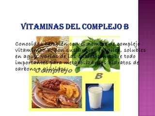 Conocidas también con el nombre de complejo
vitamínico B, son sustancias frágiles, solubles
en agua, varias de las cuales son sobre todo
importantes para metabolizar los hidratos de
carbono o glúcidos.

 