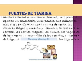 

Muchos alimentos contienen tiamina, pero pocos la
aportan en cantidades importantes. Los alimentos
más ricos en tiamina son la carne de cerdo, las
vísceras (hígado, corazón y riñones), la levadura de
cerveza, las carnes magras, los huevos, los vegetales
de hoja verde, la cascarilla de los cereales, el germen
de trigo, las bayas, los frutos secos y las legumbres.

 