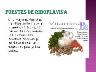 Las mejores fuentes
de riboflavina son el
hígado, la leche, la
carne, las espinacas,
los huevos, los
cereales enteros y
enriquecidos, la
pasta, el pan y las
setas.

 