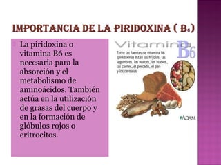 

La piridoxina o
vitamina B6 es
necesaria para la
absorción y el
metabolismo de
aminoácidos. También
actúa en la utilización
de grasas del cuerpo y
en la formación de
glóbulos rojos o
eritrocitos.

 