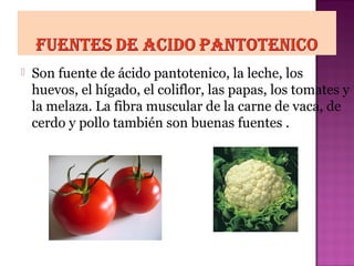 

Son fuente de ácido pantotenico, la leche, los
huevos, el hígado, el coliflor, las papas, los tomates y
la melaza. La fibra muscular de la carne de vaca, de
cerdo y pollo también son buenas fuentes .

 