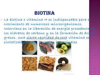 

La biotina o vitamina H es indispensable para el
crecimiento de numerosos microorganismos.
Interviene en la liberación de energía procedente de
los hidratos de carbono y en la formación de ácidos
grasos. Una cierta cantidad de esta vitamina es
sintetizada por las bacterias intestinales

 