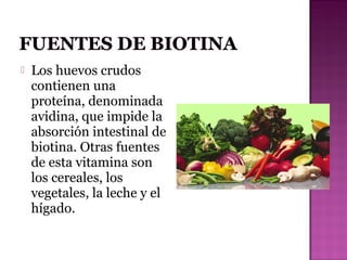 

Los huevos crudos
contienen una
proteína, denominada
avidina, que impide la
absorción intestinal de
biotina. Otras fuentes
de esta vitamina son
los cereales, los
vegetales, la leche y el
hígado.

 