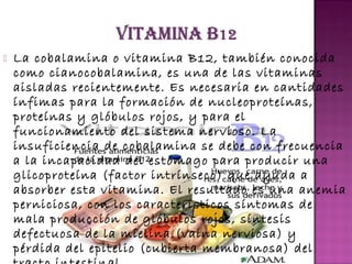 

La cobalamina o vitamina B12, también conocida
como cianocobalamina, es una de las vitaminas
aisladas recientemente. Es necesaria en cantidades
ínfimas para la formación de nucleoproteínas,
proteínas y glóbulos rojos, y para el
funcionamiento del sistema nervioso. La
insuficiencia de cobalamina se debe con frecuencia
a la incapacidad del estómago para producir una
glicoproteína (factor intrínseco) que ayuda a
absorber esta vitamina. El resultado es una anemia
perniciosa, con los característicos síntomas de
mala producción de glóbulos rojos, síntesis
defectuosa de la mielina (vaina nerviosa) y
pérdida del epitelio (cubierta membranosa) del

 