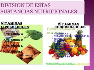 Vitaminas
LiposoLubLes


Vitamina a

Vitaminas
HiDrosoLubLes






Vitamina D
Vitamina e









Vitamina K





Vitamina C
Vitaminas DeL CompLejo b
ribofLaVina
niaCina
piriDoxina
aCiDo pantoteniCo
aCiDo LipoiCo
biotina
aCiDo fóLiCo
Vitamina b12

 