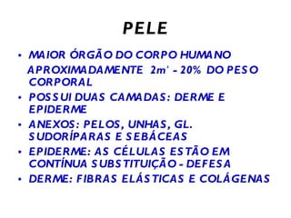 PELE MAIOR ÓRGÃO DO CORPO HUMANO APROXIMADAMENTE  2m ²  - 20%   DO PESO CORPORAL  POSSUI DUAS CAMADAS: DERME E EPIDERME ANEXOS: PELOS, UNHAS, GL. SUDORÍPARAS E SEBÁCEAS EPIDERME: AS CÉLULAS ESTÃO EM CONTÍNUA SUBSTITUIÇÃO - DEFESA DERME: FIBRAS ELÁSTICAS E COLÁGENAS   