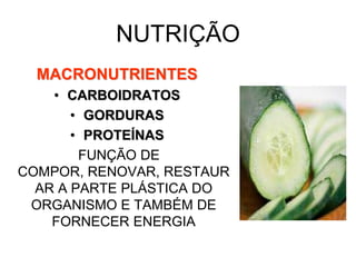 NUTRIÇÃO
  MACRONUTRIENTES
    • CARBOIDRATOS
       • GORDURAS
       • PROTEÍNAS
        FUNÇÃO DE
COMPOR, RENOVAR, RESTAUR
  AR A PARTE PLÁSTICA DO
 ORGANISMO E TAMBÉM DE
    FORNECER ENERGIA
 