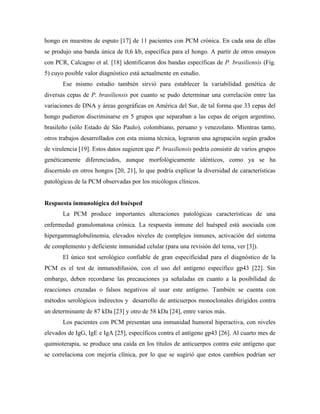 Paracoccidioidomicosis y Paracoccidioides brasiliensis | PDF