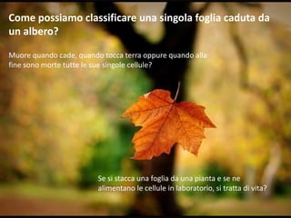 Come possiamo classificare una singola foglia caduta da
un albero?
Muore quando cade, quando tocca terra oppure quando alla
fine sono morte tutte le sue singole cellule?
Se si stacca una foglia da una pianta e se ne
alimentano le cellule in laboratorio, si tratta di vita?
 