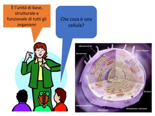 Che cosa è una
cellula?
È l’unità di base,
strutturale e
funzionale di tutti gli
organismi
 