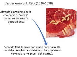 L’esperienza di F. Redi (1626-1698)
Affrontò il problema della
comparsa di “vermi”
(larve) sulla carne in
putrefazione.
Secondo Redi le larve non erano nate dal nulla
ma dalle uova lasciate dalle mosche (che aveva
visto volare nei pressi della carne).
 