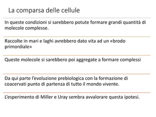 La comparsa delle cellule
In queste condizioni si sarebbero potute formare grandi quantità di
molecole complesse.
Raccolte in mari e laghi avrebbero dato vita ad un «brodo
primordiale»
Queste molecole si sarebbero poi aggregate a formare complessi
Da qui parte l’evoluzione prebiologica con la formazione di
coacervati punto di partenza di tutto il mondo vivente.
L’esperimento di Miller e Uray sembra avvalorare questa ipotesi.
 