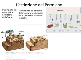 L’estinzione del Permiano
L'estinzione più
catastrofica
della storia
della Terra:
Scomparve il 95 per cento
delle specie viventi marine
e il 70 per cento di quelle
terrestri,
 