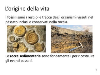 L’origine della vita
I fossili sono i resti o le tracce degli organismi vissuti nel
passato inclusi e conservati nella roccia.
45
Le rocce sedimentarie sono fondamentali per ricostruire
gli eventi passati.
 