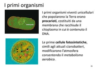 I primi organismi
I primi organismi viventi unicellulari
che popolarono la Terra erano
procarioti, costituiti da una
membrana che racchiude il
citoplasma in cui è contenuto il
DNA.
Le prime cellule fotosintetiche,
simili agli attuali cianobatteri,
modificarono l’atmosfera
consentendo il metabolismo
aerobico.
46
 