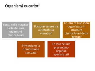 Sono, nella maggior
parte dei casi,
organismi
pluricellulari
Possono essere sia
autotrofi sia
eterotrofi
Le loro cellule sono
organizzate in
strutture
pluricellulari dette
“tessuti”
Privilegiano la
riproduzione
sessuata
Le loro cellule
presentano
organuli
specializzati
Organismi eucarioti
 
