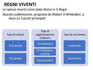 REGNI VIVENTI
Le specie viventi sono state divise in 5 Regni
Questa suddivisione, proposta da Robert H.Whittaker, si
basa su 3 punti principali:
Tipo di cellula
Procariote
Eucariote
Tipo di
organizzazione
cellulare
Unicellulare
Unicellulare a
colonia
Pluricellulare
Tipo di nutrizione
Autotrofa
Eterotrofa
 