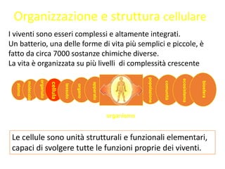 atomo
molecola
popolazione
comunità
ecosistema
biosfera
organismo
apparato
organo
tessuto
cellula
organulo
Organizzazione e struttura cellulare
I viventi sono esseri complessi e altamente integrati.
Un batterio, una delle forme di vita più semplici e piccole, è
fatto da circa 7000 sostanze chimiche diverse.
La vita è organizzata su più livelli di complessità crescente
Le cellule sono unità strutturali e funzionali elementari,
capaci di svolgere tutte le funzioni proprie dei viventi.
 
