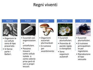 Regni viventi
• Organismi le
cui cellule
sono di tipo
procariote.
• Vi fanno
parte i
Batteri.
Monere
• Eucarioti con
organizzazion
e
unicellulare.
• Possono
trovarsi
come cellule
isolate o
come colonie
prive però di
veri e propri
tessuti.
Protisti
• Organismi
eucarioti
plurinucleati
• Si nutrono
per
assorbimento
Funghi
• Eucarioti
pluricellulari.
• Provviste di
parete rigida
e cloroplasti
• Sono
organismi
autotrofi
Piante
• Eucarioti
pluricellulari.
• Si nutrono
principalmen
te per
ingestione.
• Riproduzione
di tipo
sessuato
Animali
 