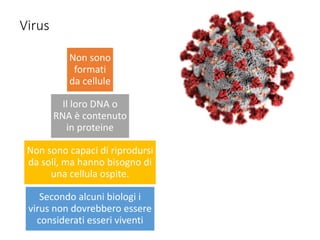 Virus
Non sono
formati
da cellule
Il loro DNA o
RNA è contenuto
in proteine
Non sono capaci di riprodursi
da soli, ma hanno bisogno di
una cellula ospite.
Secondo alcuni biologi i
virus non dovrebbero essere
considerati esseri viventi
 