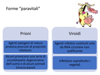 Forme “paravitali”
Prioni
Agenti patogeni di natura
proteica provvisti di proprietà
infettanti.
Alcuni provocano una serie di
encefalopatie degenerative
dell’uomo e di alcuni animali
(mucca pazza)
Viroidi
Agenti infettivi costituiti sola
da RNA circolare non
codificante
Infettano soprattutto i
vegetali
 