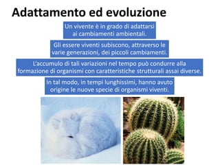 Adattamento ed evoluzione
Un vivente è in grado di adattarsi
ai cambiamenti ambientali.
Gli essere viventi subiscono, attraverso le
varie generazioni, dei piccoli cambiamenti.
L’accumulo di tali variazioni nel tempo può condurre alla
formazione di organismi con caratteristiche strutturali assai diverse.
In tal modo, in tempi lunghissimi, hanno avuto
origine le nuove specie di organismi viventi.
 