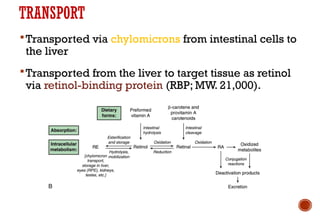 TRANSPORT
Transported via chylomicrons from intestinal cells to
the liver
Transported from the liver to target tissue as retinol
via retinol-binding protein (RBP; MW. 21,000).
 