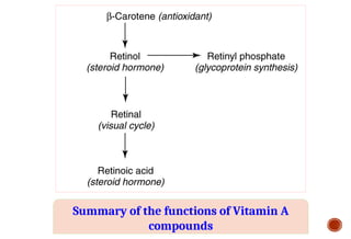 Summary of the functions of Vitamin A
compounds
 