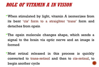 ROLE OF VITAMIN A IN VISION
When stimulated by light, vitamin A isomerizes from
its bent ‘cis’ form to a straighter ‘trans’ form and
detaches from opsin
The opsin molecule changes shape, which sends a
signal to the brain via optic nerve and an image is
formed
Most retinal released in this process is quickly
converted to trans-retinol and then to cis-retinal, to
begin another cycle
 