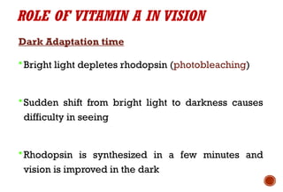 ROLE OF VITAMIN A IN VISION
Dark Adaptation time
Bright light depletes rhodopsin (photobleaching)
Sudden shift from bright light to darkness causes
difficulty in seeing
Rhodopsin is synthesized in a few minutes and
vision is improved in the dark
 