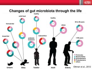 Ottman et al., 2012
Changes of gut microbiota through the life
 