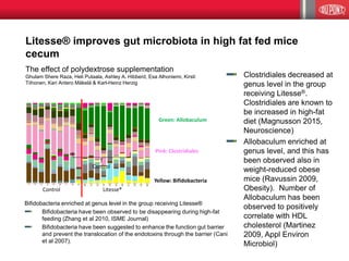 Litesse® improves gut microbiota in high fat fed mice
cecum
Control
Litesse®
Yellow: Bifidobacteria
Pink: Clostridiales
Green: Allobaculum
The effect of polydextrose supplementation
Ghulam Shere Raza, Heli Putaala, Ashley A. Hibberd, Esa Alhoniemi, Kirsti
Tiihonen, Kari Antero Mäkelä & Karl-Heinz Herzig
Bifidobacteria enriched at genus level in the group receiving Litesse®
Bifidobacteria have been observed to be disappearing during high-fat
feeding (Zhang et al 2010, ISME Journal)
Bifidobacteria have been suggested to enhance the function gut barrier
and prevent the translocation of the endotoxins through the barrier (Cani
et al 2007).
Clostridiales decreased at
genus level in the group
receiving Litesse®.
Clostridiales are known to
be increased in high-fat
diet (Magnusson 2015,
Neuroscience)
Allobaculum enriched at
genus level, and this has
been observed also in
weight-reduced obese
mice (Ravussin 2009,
Obesity). Number of
Allobaculum has been
observed to positively
correlate with HDL
cholesterol (Martinez
2009, Appl Environ
Microbiol)
Control
 