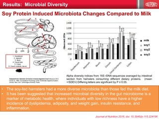 • The soy-fed hamsters had a more diverse microbiota than those fed the milk diet.
• It has been suggested that increased microbial diversity in the gut microbiome is a
marker of metabolic health, where individuals with low richness have a higher
incidence of dyslipidemia, adiposity, and weight gain, insulin resistance, and
inflammation.
Alpha diversity indices from 16S rDNA sequences averaged by intestinal
section from hamsters consuming different dietary proteins. (mean
+/SDEV) Differing letters are significant by P ≤ 0.05.
milk
soy1
soy3
soy2
Journal of Nutrition 2016, doi: 10.3945/​jn.115.224196
Results: Microbial Diversity
Soy Protein Induced Microbiota Changes Compared to Milk
 