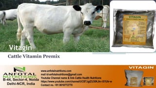 Vitagin
Cattle Vitamin Premix
 