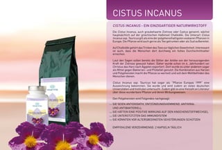 CISTUS INCANUS & ZITRONENGRAS | TEE
CISTUS INCANUS | KAPSELN
Best.-Nr.: 5016 | 250g | 19,90E
Cistus Incanus & Zitronengras | Tee | 3er Pack
Best.-Nr.: 5017 | 3 x 250g | 53,90E
(Sonderpreis – Sie sparen 5,80E)
Best.-Nr.: 5014 | 60 Kapseln | 37,50E
Cistus Incanus | Kapseln | 3er Pack
Best.-Nr.: 5015 | 3 x 60 Kapseln | 101,50E
(Sonderpreis – Sie sparen 11,00E)
CISTUS INCANUS
SIE SEIEN ANTIOXIDATIV, ENTZÜNDUNGSHEMMEND, ANTIVIRAL
UND ANTIBAKTERIELL
SIE HÄTTEN EINE POSITIVE WIRKUNG AUF DEN KNOCHENSTOFFWECHSEL
SIE UNTERSTÜTZTEN DAS IMMUNSYSTEM
SIE KÖNNTEN VOR ALTERSBEDINGTEN SEHSTÖRUNGEN SCHÜTZEN
EMPFOHLENE VERZEHRMENGE: 2 KAPSELN TÄGLICH
CISTUS INCANUS - EIN EINZIGARTIGER NATURWIRKSTOFF
Die Cistus Incanus, auch graubehaarte Zistrose oder Cystus genannt, wächst
hauptsächlich auf der griechischen Halbinsel Chalkidiki. Die Unterart Cistus
Incanus ssp. Tauricus gilt als eine der polyphenolhaltigsten essbaren Pflanzen in
Europa. Die Pflanze wird auch gerne als Tee getrunken oder als Sud aufbereitet.
AufChalkidikigehörtdasTrinkendesTeeszurtäglichenGewohnheit.Interessant
ist auch, dass die Menschen dort durchweg ein hohes Durchschnittsalter
erreichen.
Laut den Sagen sollen bereits die Götter der Antike von der herausragenden
Kraft der Zistrose gewusst haben. Daher wurde schon im 4. Jahrhundert vor
Christus das Harz nach Ägypten exportiert. Dort wurde es unter anderem sogar
als Mittel gegen Bakterien- und Pilzbefall genutzt. Die Kombination aus Harzen
und Polyphenolen macht die Pflanze so wertvoll und soll dem Wohlbefinden des
Menschen dienen.
Cistus Incanus ssp. Tauricus hat sogar als “Pflanze Europas 1999“ eine
Auszeichnung bekommen. Sie wurde und wird zudem an vielen deutschen
Universitäten und Instituten untersucht. Zudem gibt es eine Vielzahl an Literatur
über diese wunderbare Pflanze und deren Wirkungsweisen.
Den Polyphenolen wird Folgendes nachgesagt:
*NRV = Prozent der empfohlenen täglichen Verzehrmenge laut Verordnung (EU)
Nr. 1169/2011 | ** = Keine Empfehlung vorhanden
800 mg
24 mg
%NRV*
**
200
Cistus Incanus
Vitamin E
WIRKSTOFFE TAGESDOSIS
 