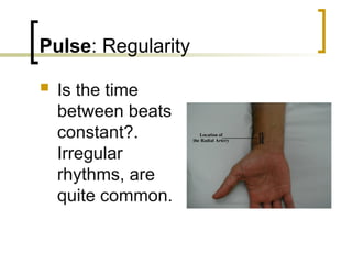 Comprehensive Guide to Vital Signs Measurement and Interpretation in ...